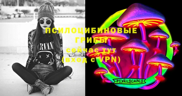 гидра Лихославль