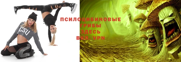 мяу мяу мука Лабытнанги