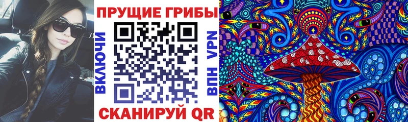 это клад  закладки  кракен как зайти  Суджа  Галлюциногенные грибы Magic Shrooms 