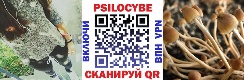 Псилоцибиновые грибы MAGIC MUSHROOMS Суджа